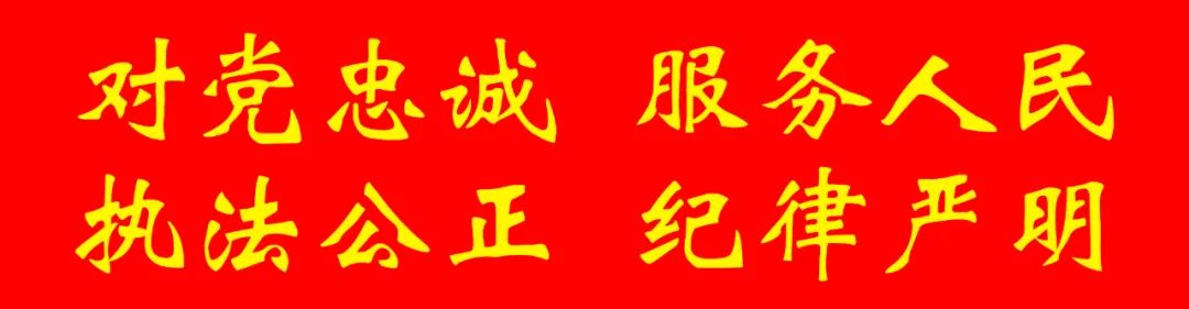 交通信号灯由什么组成 道路交通信号灯的作用