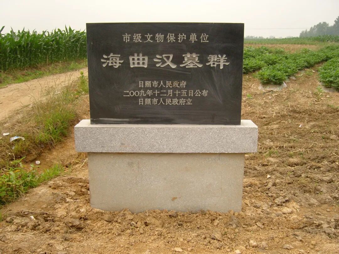 20年,再开海曲汉墓考古"盲盒"-日照要闻-日照新闻网-日照第一门户网站