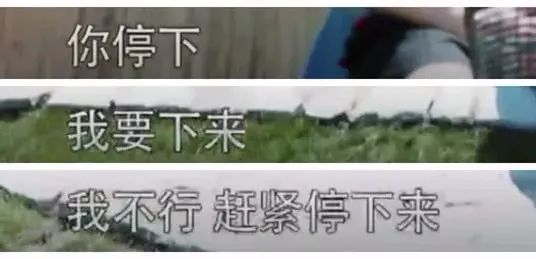 你們憑什麼罵大S「作」？！你們早就忘了愛情最美好的樣子了吧！ 婚戀 第17張