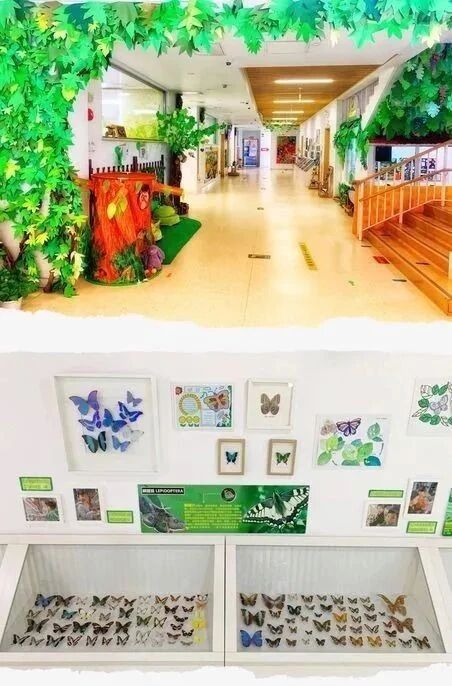 图片[25]-北京市朝阳区向日葵逸翠幼儿园2026年招生简章-京入学