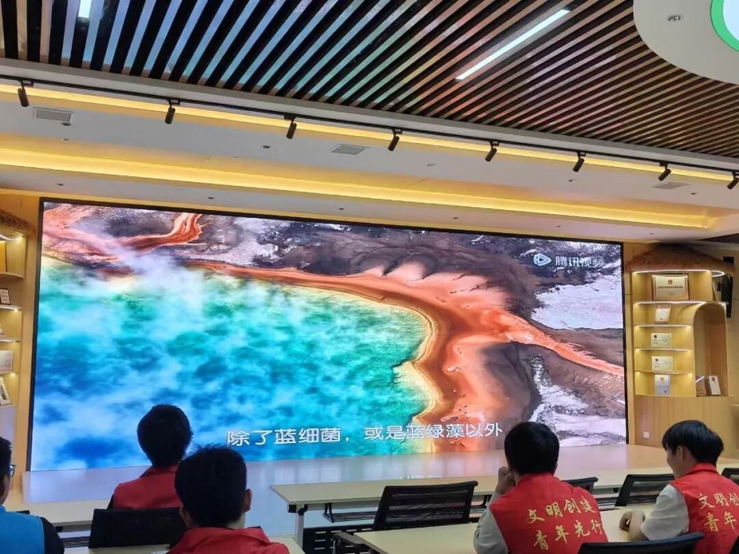 怀化职业技术学院河小青志愿服务队：世界地球日志愿服务系列活动