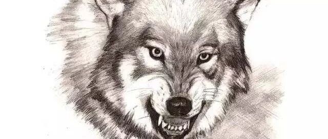 一位狼性店长：管理，就是要淘汰人渣！