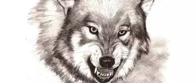 一位狼性店长：管理，就是要淘汰人渣！