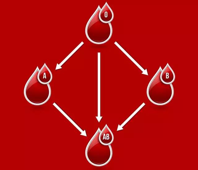 漲知識 血型暴露了你的性格 蚊子最愛o型血 扒一扒血型的4個傳言 中國網 微文庫