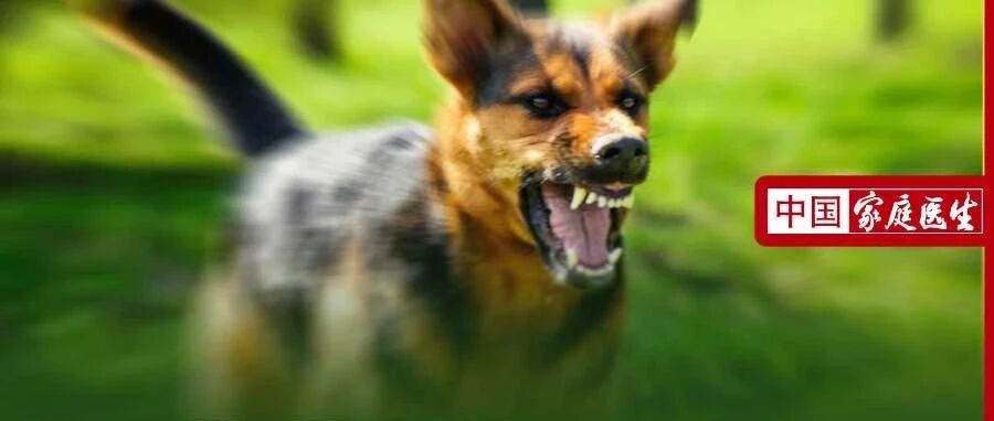 恶犬发狂，连袭21人，最小才3岁，画面太吓人！被咬后，记住这3点能保命