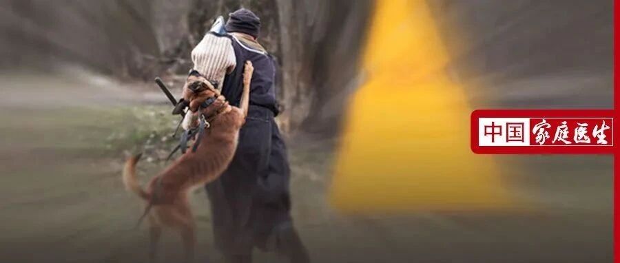 老人当街被狗活活咬死，监控记录下痛心一幕！路遇恶犬，3个保命动作太实用了