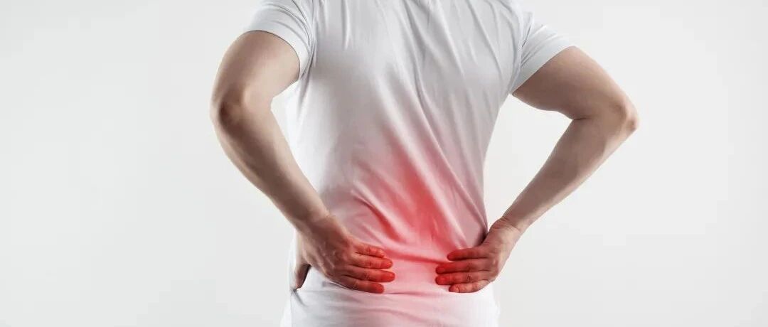 年纪轻轻就肾虚，该怎么办？这份补肾秘籍，打工人必备