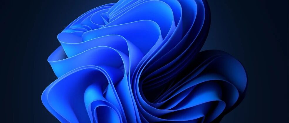 Windows 11 再惹“众怒”！网友：微软就是逼我去买新电脑！