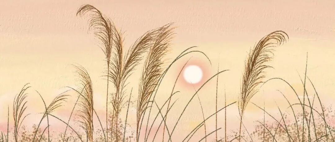 不想被生活打败，就做一个追光的人