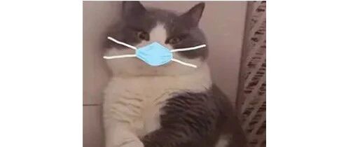 安徽新增本土无症状感染者4例！2例初筛阳性待复核！