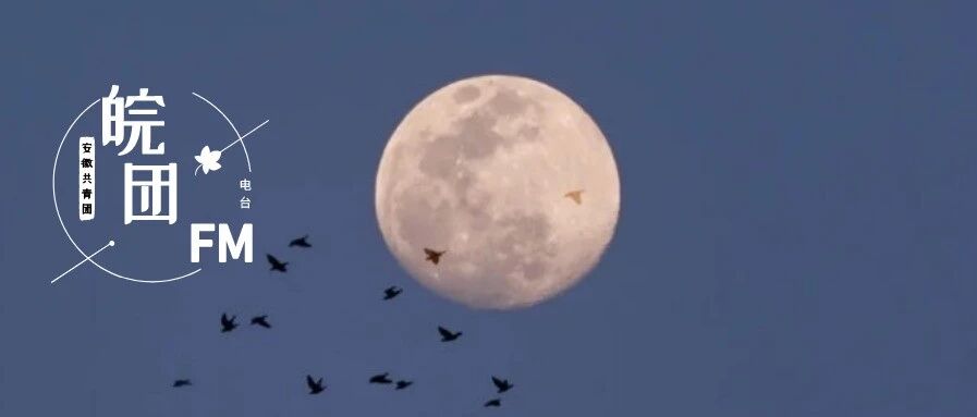 真焦虑和伪自律：为什么你总是看上去很努力？