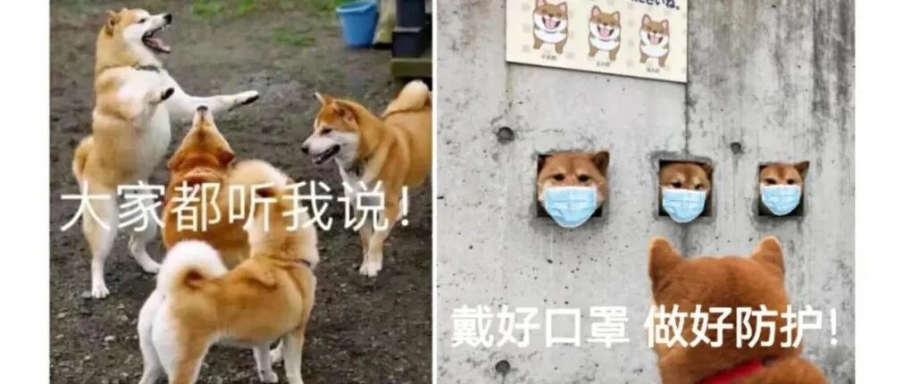 刚刚通告！滁州发现1例无症状感染者！