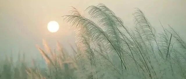 坚持这五个习惯，遇见更好的自己