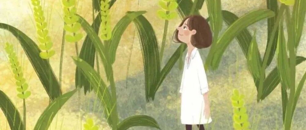 “ 就算再卷，我们也要卷明白。”