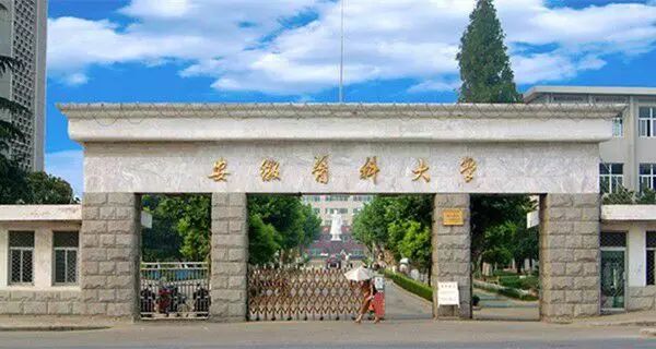 從安徽哪個大學畢業5年後薪水最高? 安徽高校大學生薪酬排行榜出爐!