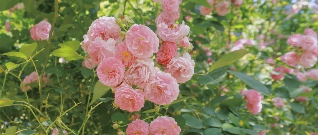 生活就是不断的选择和不断的接受