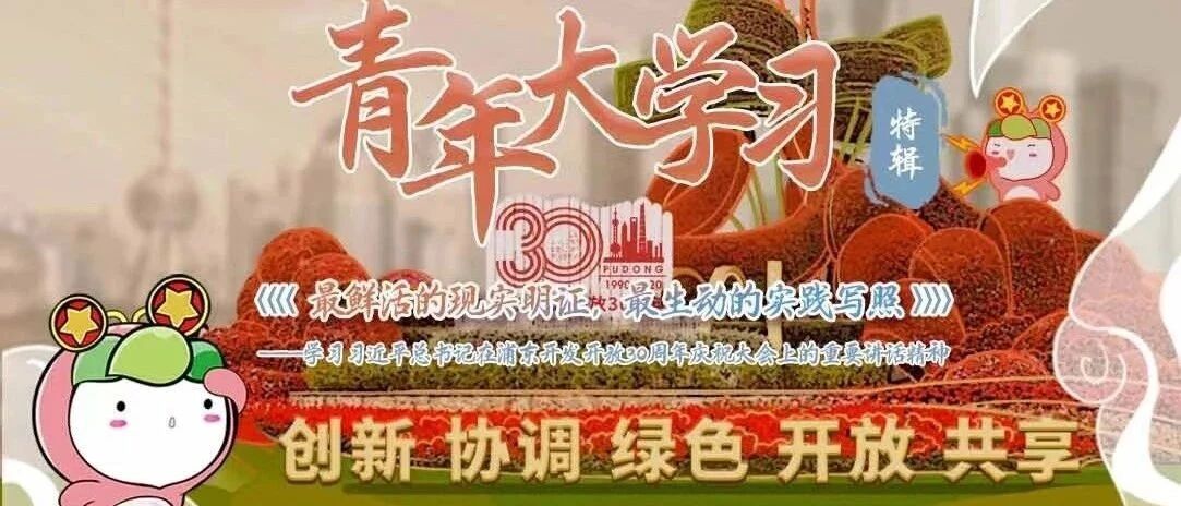青年大学习：浦东开发开放30周年庆祝大会特辑（附上一期学习情况）