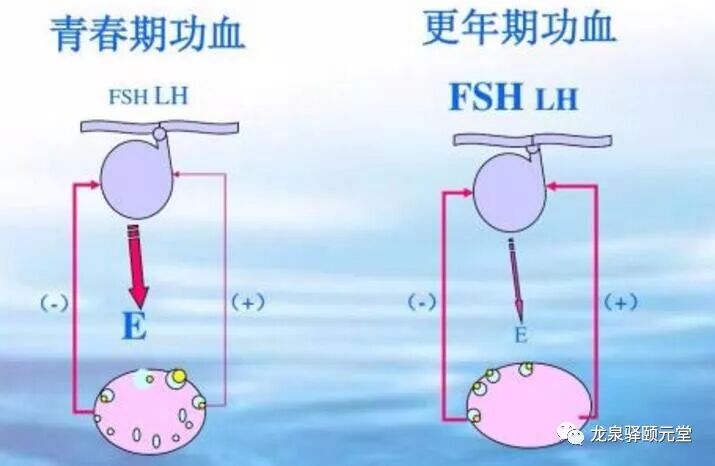 说说功能性子宫出血 龙泉驿颐元堂 微信公众号文章阅读 Wemp