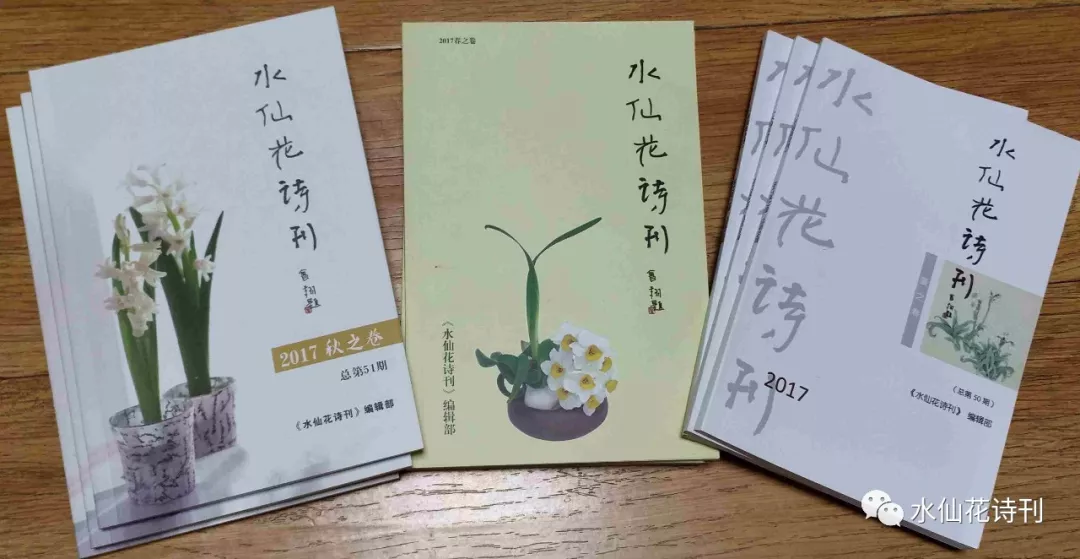 水仙精品|杨角|还可以:说明那个集市并不可怕 水仙精品|杨角|还可以:说明那个集市并不可怕