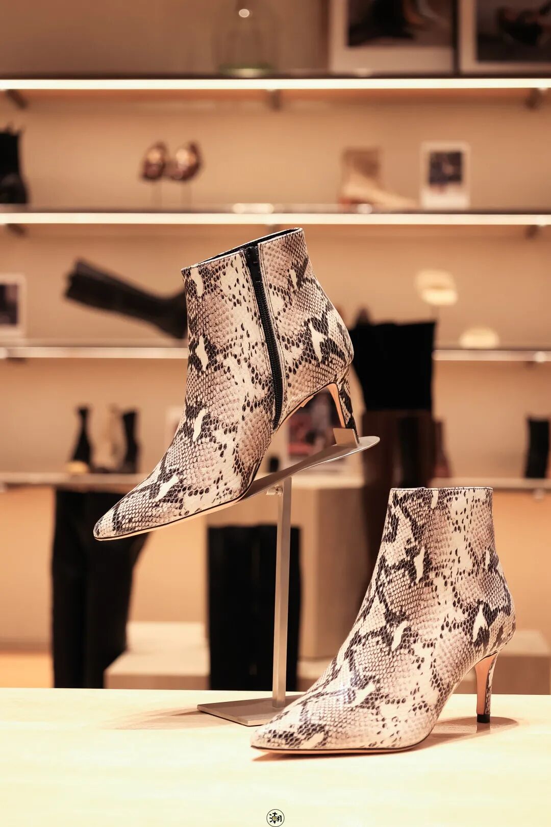 ����̳�����������ˣ�����zui��1000��1000��29Ԫ��100�����غ����˷�ʮһ�£�