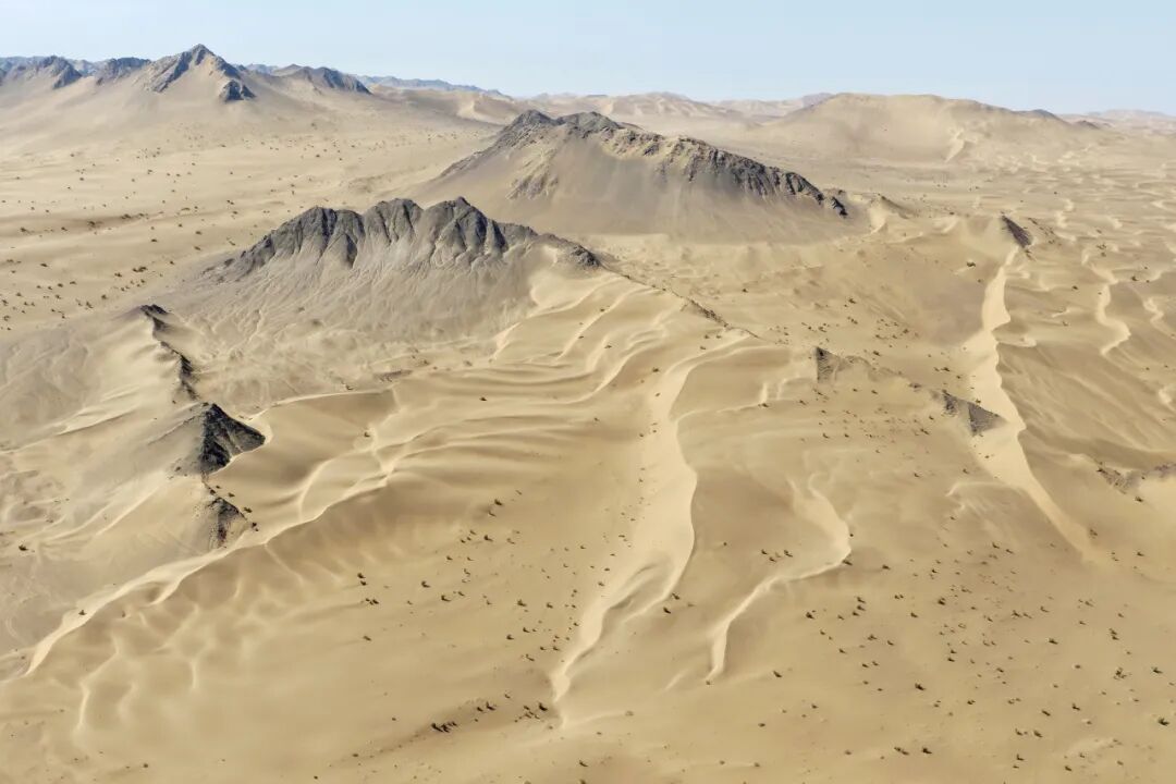 DJI_20251005143422_0221_D (2).jpg
