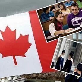 加拿大移民政策曼尼托巴省省提名