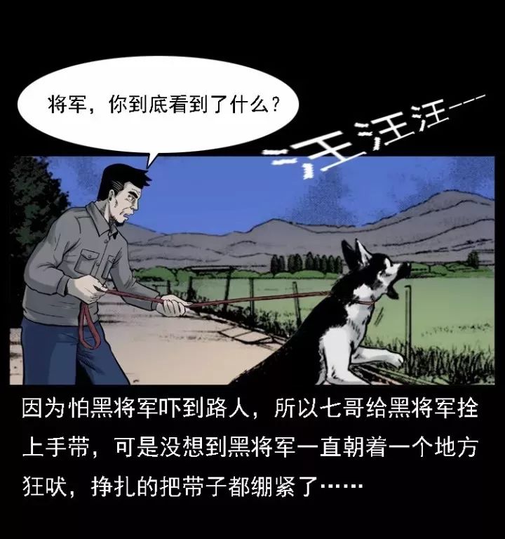 通靈警犬黑將軍威震八方【上】 靈異 第28張