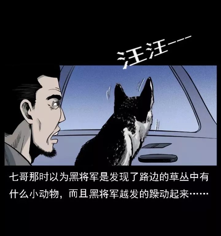 通靈警犬黑將軍威震八方【上】 靈異 第25張