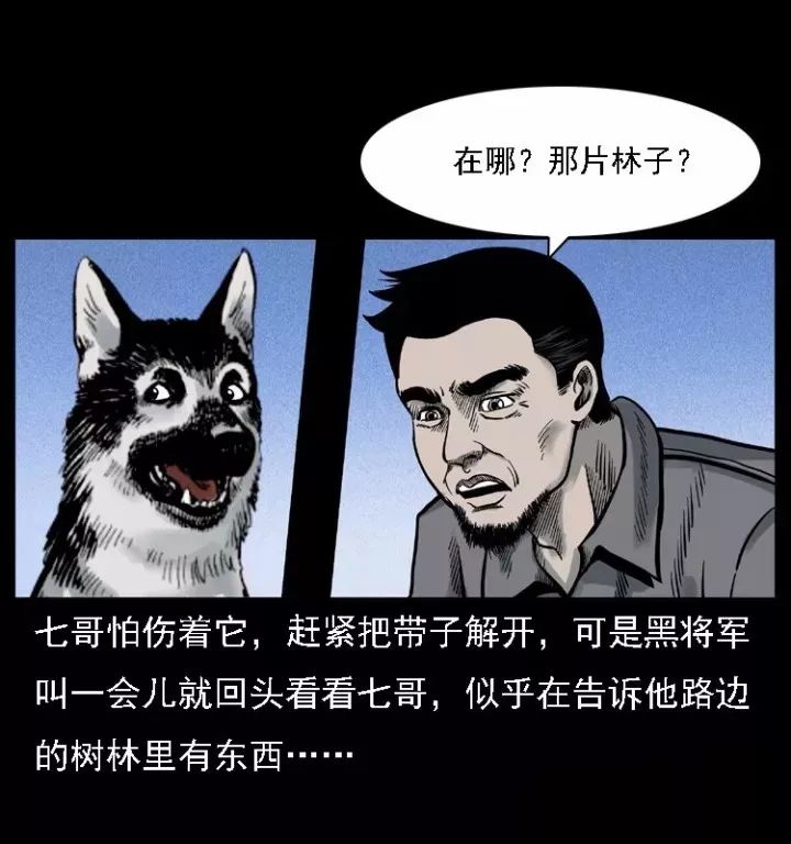 通靈警犬黑將軍威震八方【上】 靈異 第29張