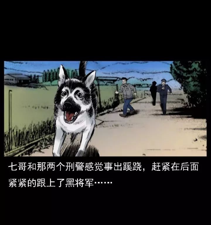 通靈警犬黑將軍威震八方【下】 靈異 第14張