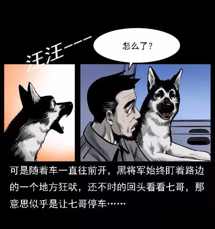 通靈警犬黑將軍威震八方【上】 靈異 第23張