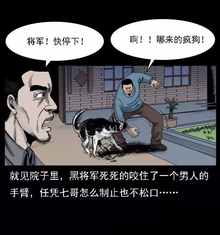 通靈警犬黑將軍威震八方【下】 靈異 第21張