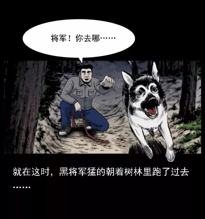 通靈警犬黑將軍威震八方【上】 靈異 第36張