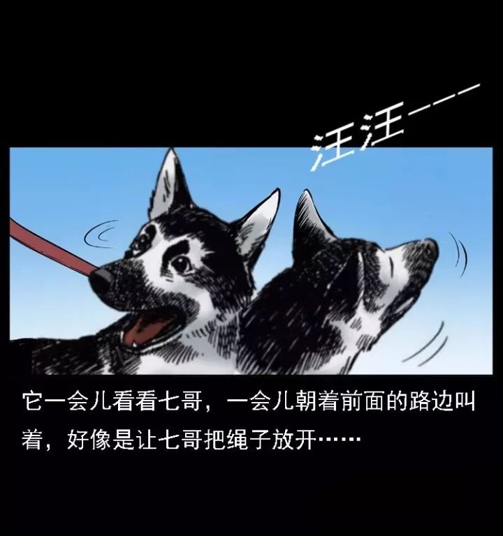 通靈警犬黑將軍威震八方【下】 靈異 第9張