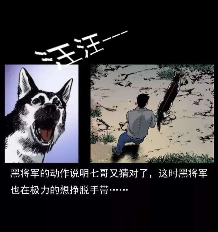 通靈警犬黑將軍威震八方【下】 靈異 第8張