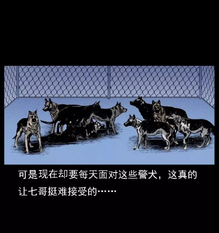 通靈警犬黑將軍威震八方【上】 靈異 第16張