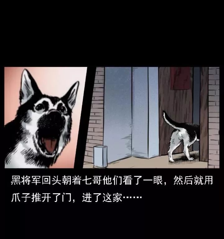 通靈警犬黑將軍威震八方【下】 靈異 第18張