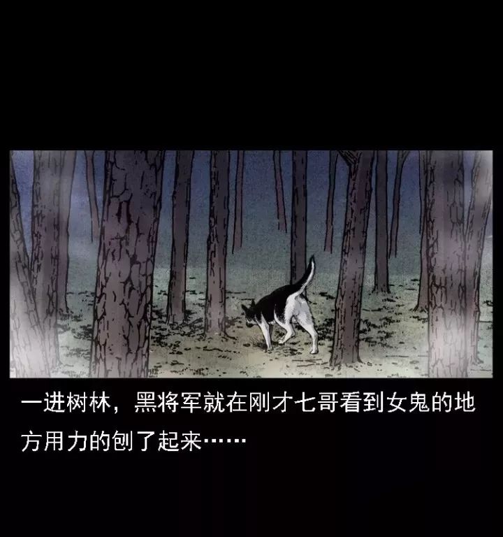 通靈警犬黑將軍威震八方【上】 靈異 第37張