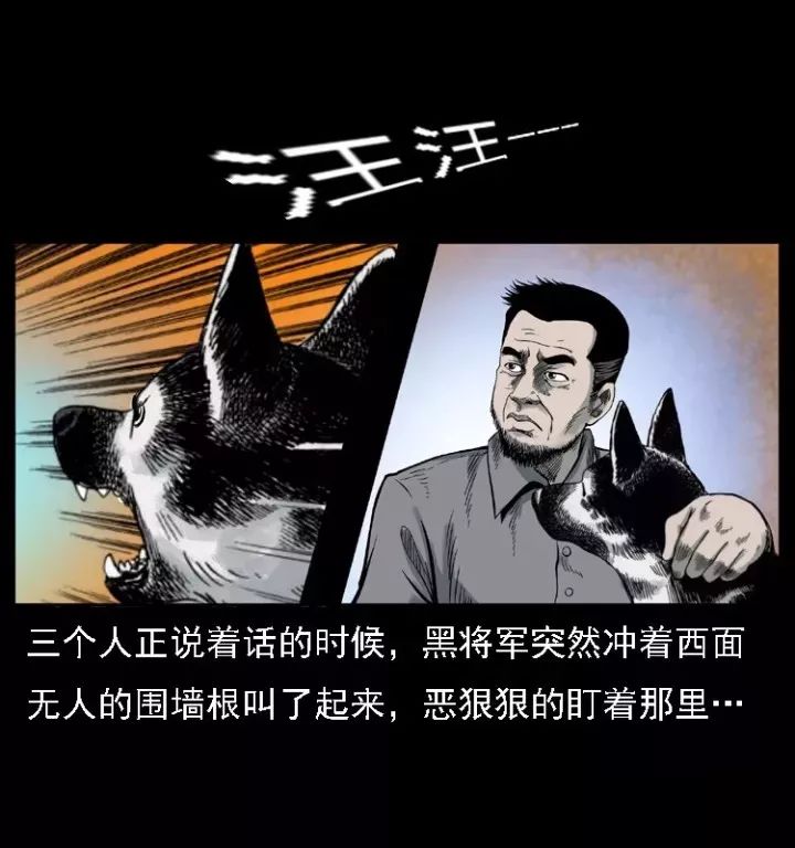 通靈警犬黑將軍威震八方【上】 靈異 第4張