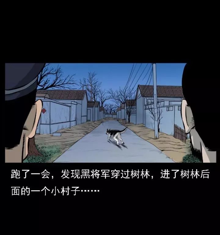 通靈警犬黑將軍威震八方【下】 靈異 第15張