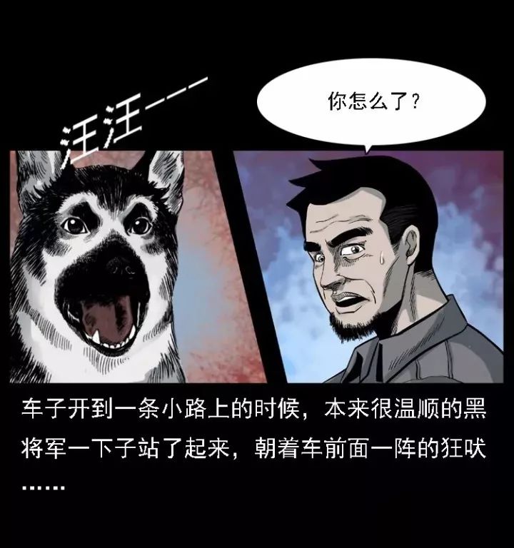 通靈警犬黑將軍威震八方【上】 靈異 第21張