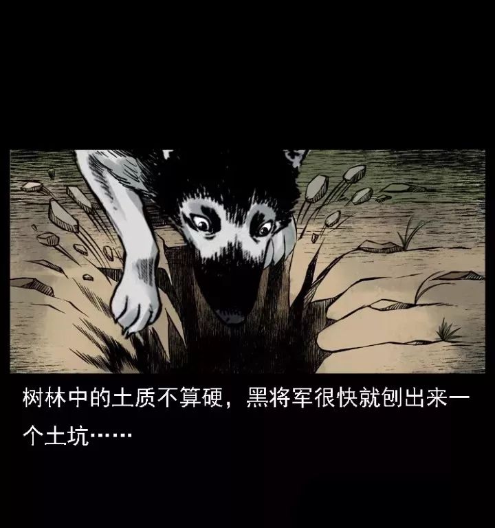 通靈警犬黑將軍威震八方【上】 靈異 第38張