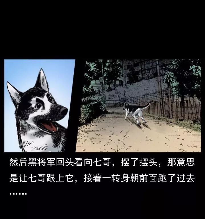 通靈警犬黑將軍威震八方【下】 靈異 第13張