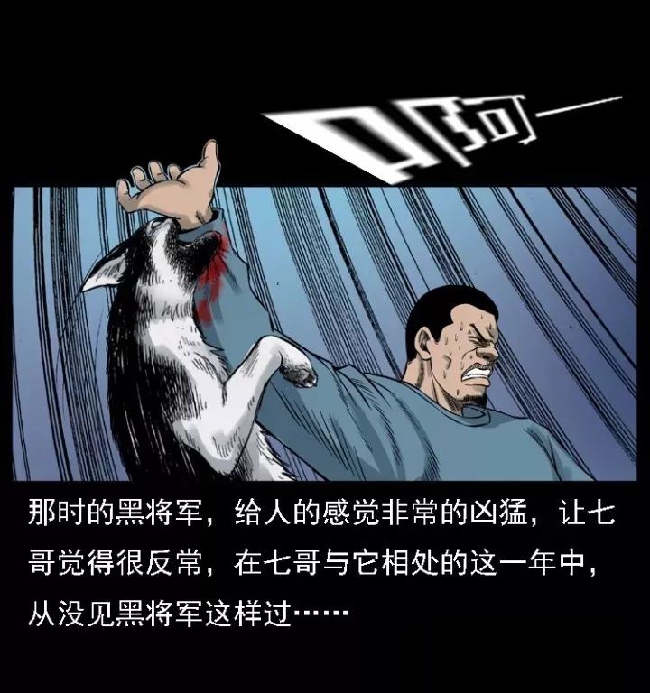 通靈警犬黑將軍威震八方【下】 靈異 第22張