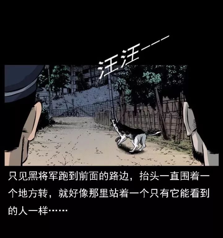 通靈警犬黑將軍威震八方【下】 靈異 第12張