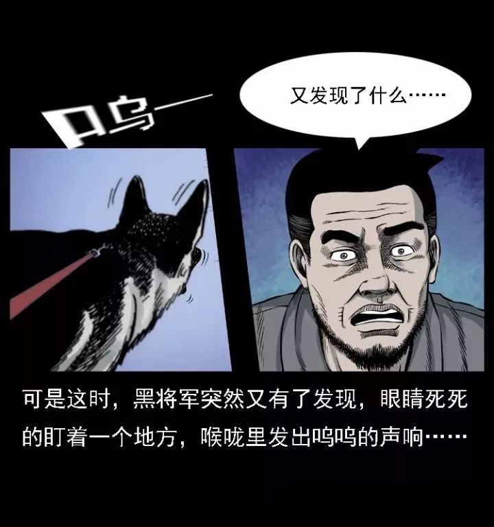 通靈警犬黑將軍威震八方【下】 靈異 第7張