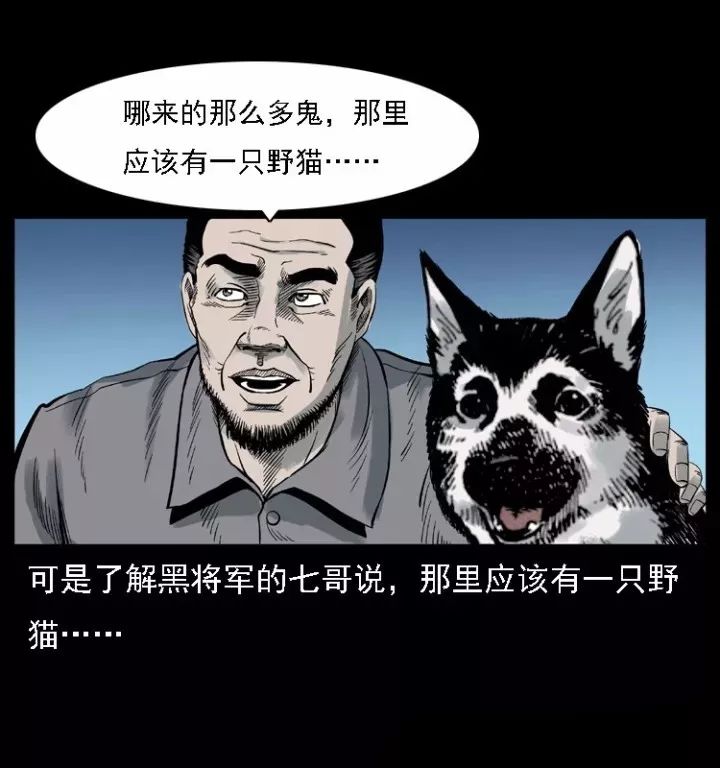 通靈警犬黑將軍威震八方【上】 靈異 第6張