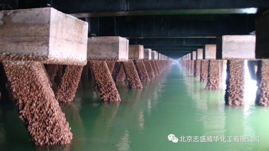 防藤壺附自潔不粘涂料