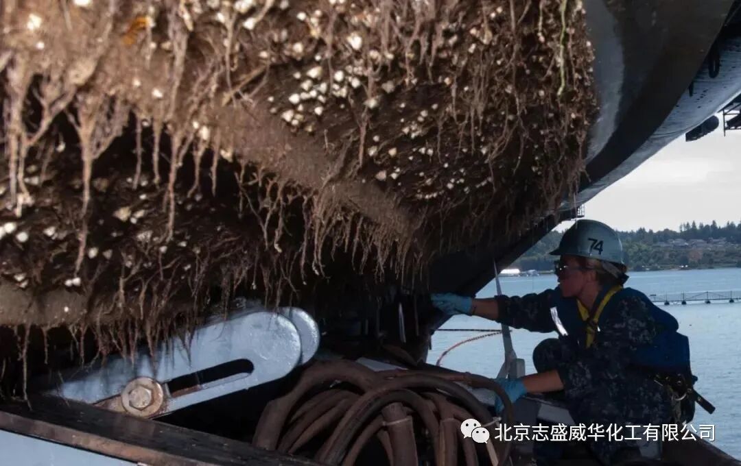 防藤壺附自潔不粘涂料