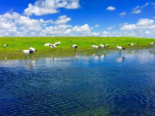 【深度大兴安岭】玩转：漠河北极村、龙江第‬一湾、五大连池，纯玩6天！0自费0购物！